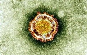 coronavirus1